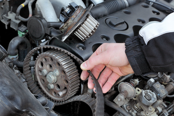 Timing Belt Up Close | Guthrie's Auto Service Inc in Cullman, AL